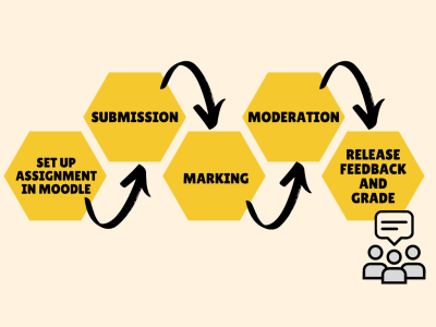 diagram: set up assignment in Moodle, submission, marking, moderation, release feedback and grade
