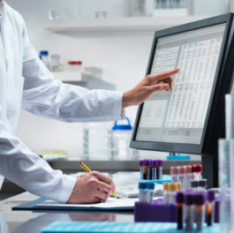 Person checking data on a computer