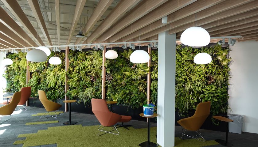Image of c floor living wall