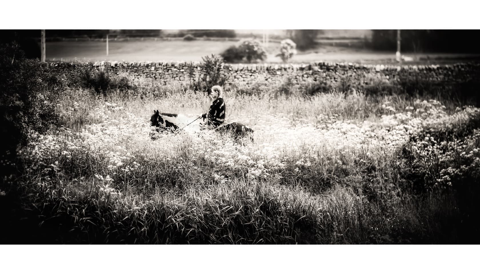 A woman riding a horse through a field.