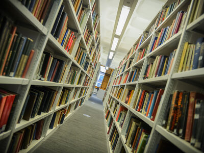 Students from Haslingden School standing by the library tree