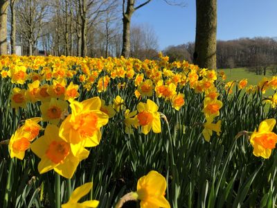 students in alex square in the sunshine