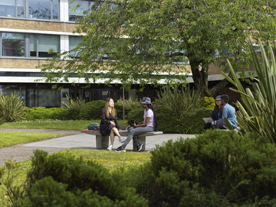 students in county quad sitting on a bench under a tree