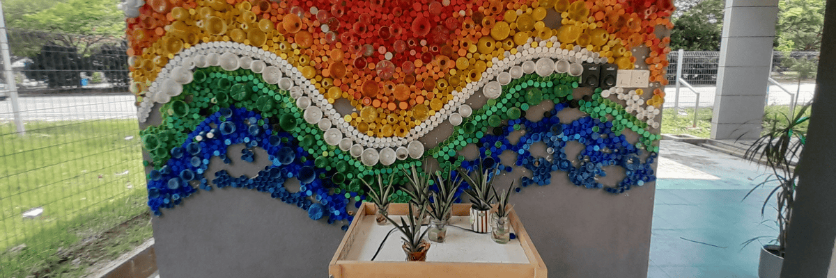 A table with plants on in front of a colourful wall