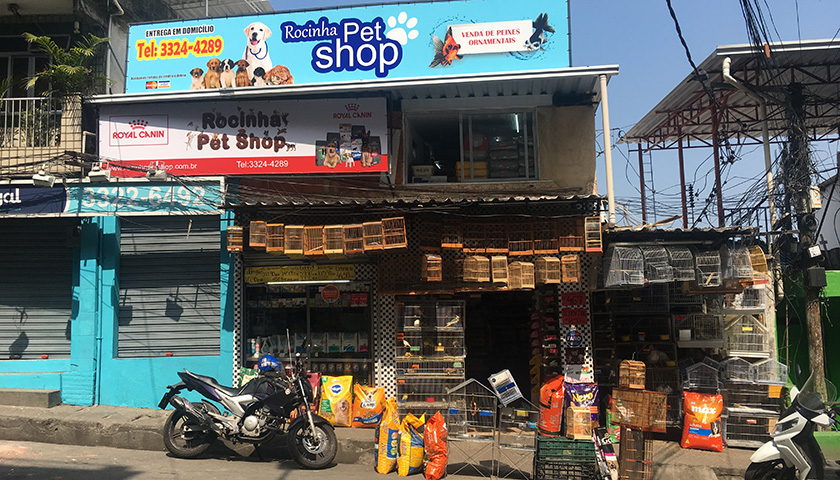 The Rocinha Pet Store with boxes piled up high outside