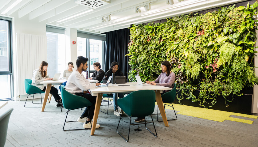 Students working in Lancaster University library in front of a living wall of plants 