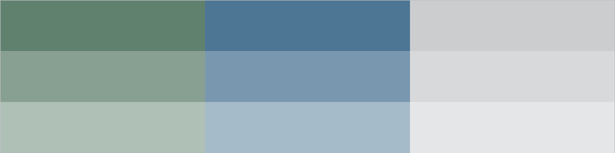 A diagram showing the different tint options for the colour palette.