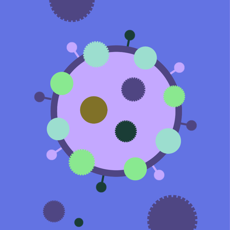 Bacteria illustration 