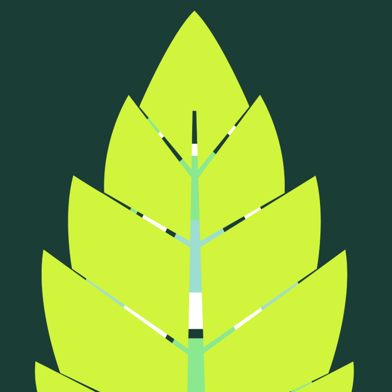 Leaf illustration 