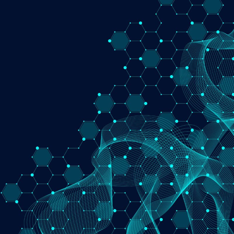 Molecules in a network 