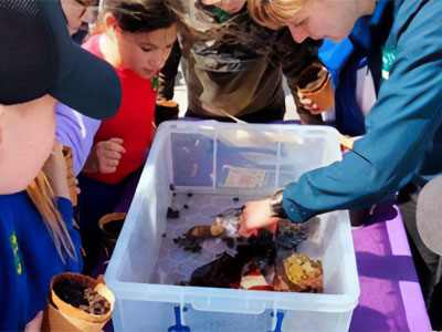Pupils investigating wildlife on the beach