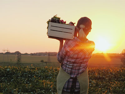 Farm worker carry a box of fruit