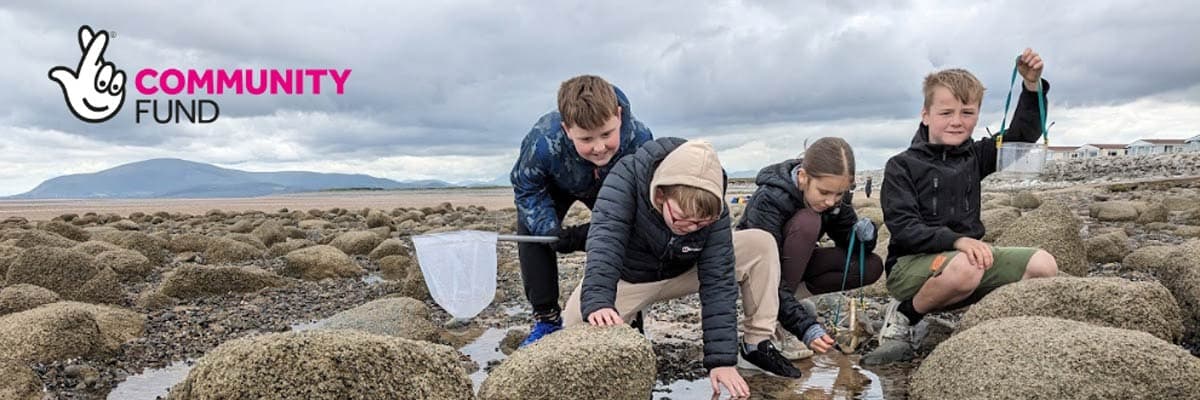 Group of children searching in the rock pools with a net