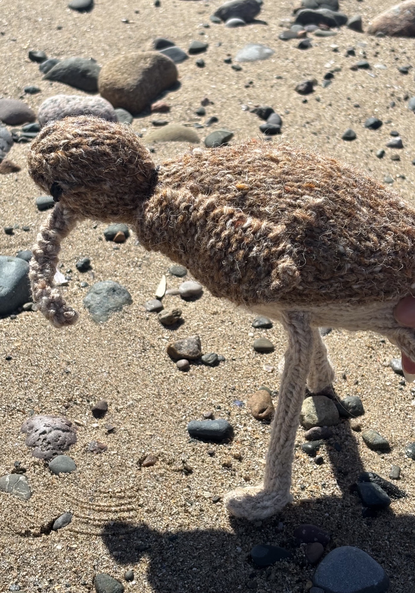 Knitted Curlew on Beach