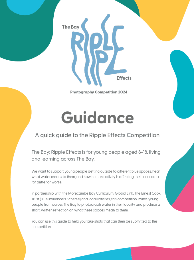 Preview of Ripple Effect Guidance