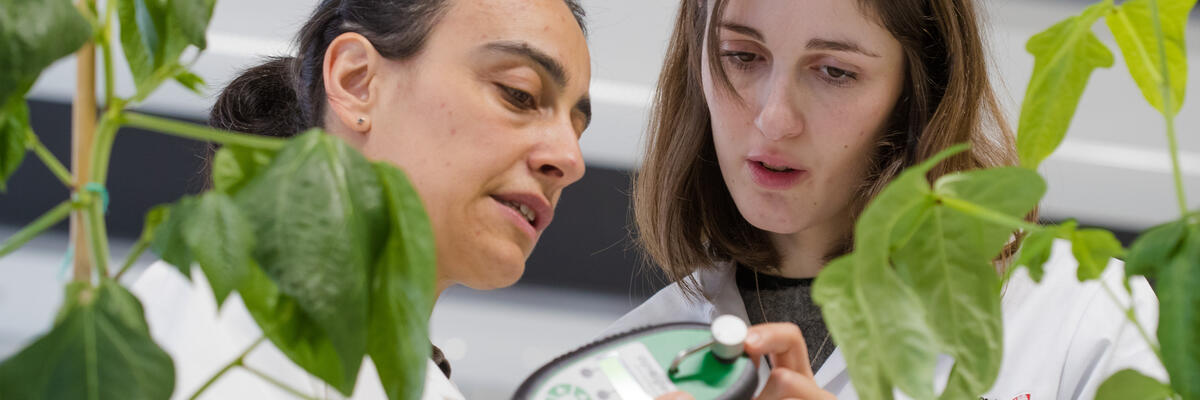 Two people compare readings taken from plants in a laboratory.