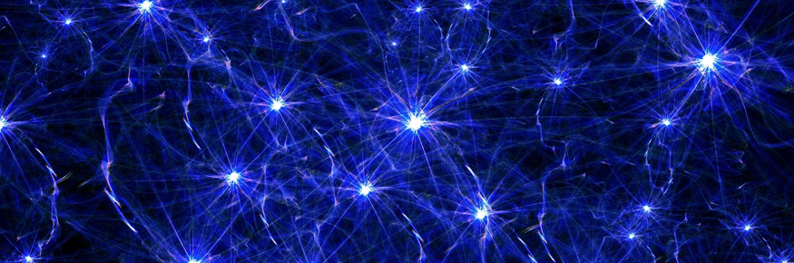 neurons in the brain