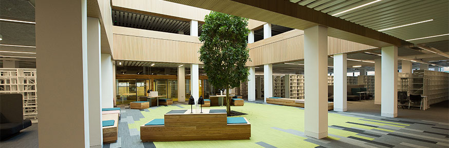 Lancaster University is ranked joint first for its library provision and opening hour