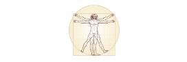 body distortion the vitruvian man 