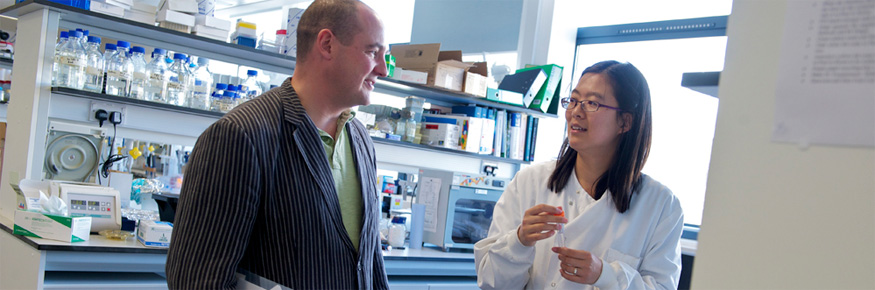 Business and research working together 