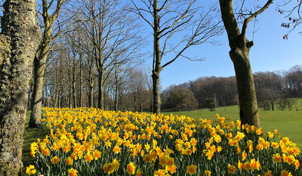 Graphic drawing of magnifying glass over unreadable text lines