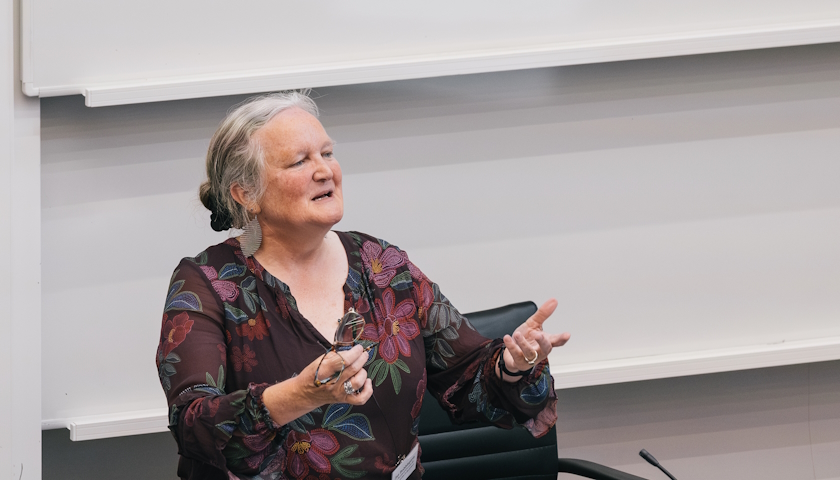 Professor Jan Bebbington speaking in a lecture theatre.