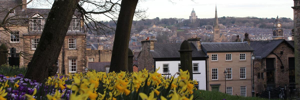 Daffodils outside the castle with Ashton memorial in the distance