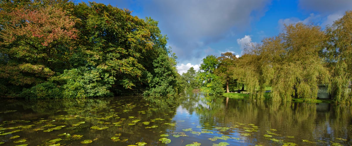 Reflections of trees and skies in a small lake