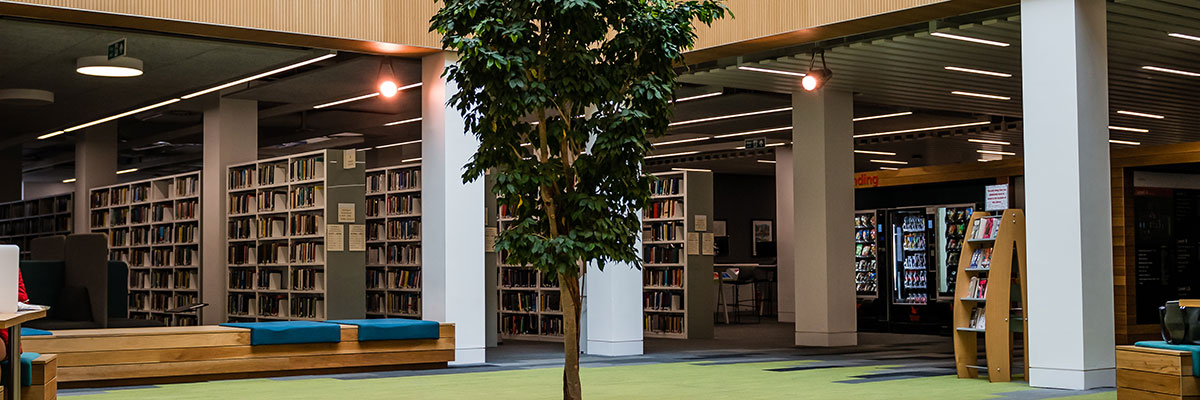 Interior of Lancaster University library with reading desks and indoor tree