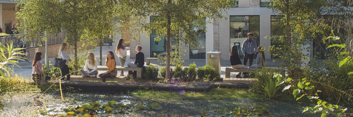 Students sitting in dappled sunlight by the Engineering building.