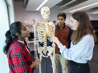 Two students demonstrating a skeleton model