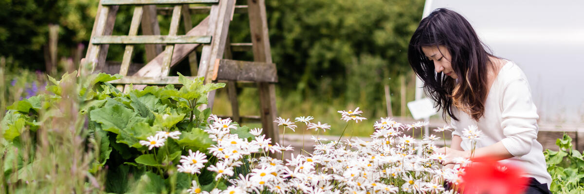 A student tends a flower bed at the EcoHub