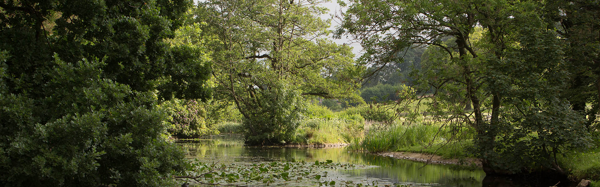 Lake Carter on Campus