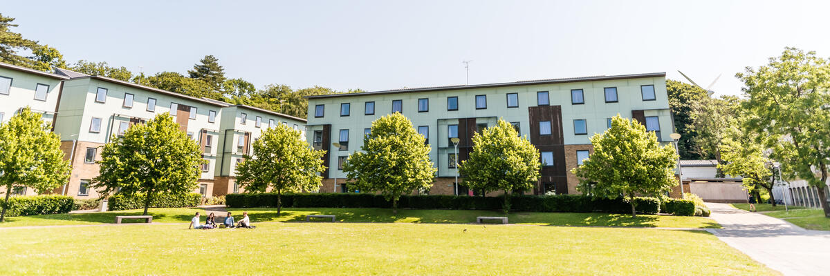 County accommodation building and trees 